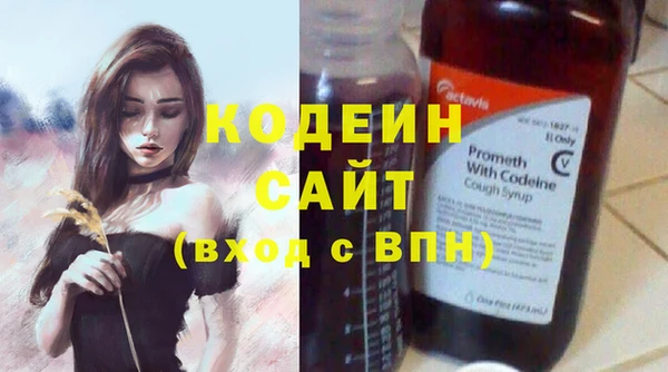 шишки Верея