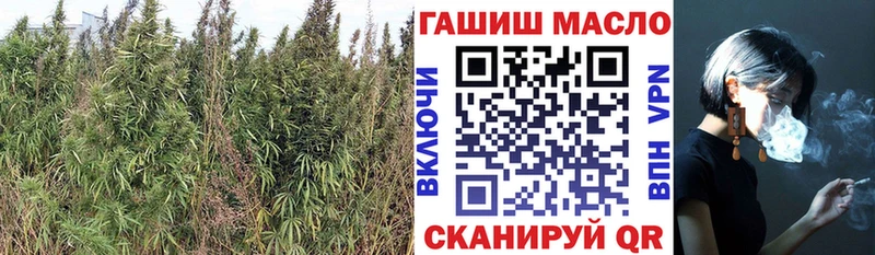 даркнет формула  omg ссылка  Дегтярск  Дистиллят ТГК THC oil 