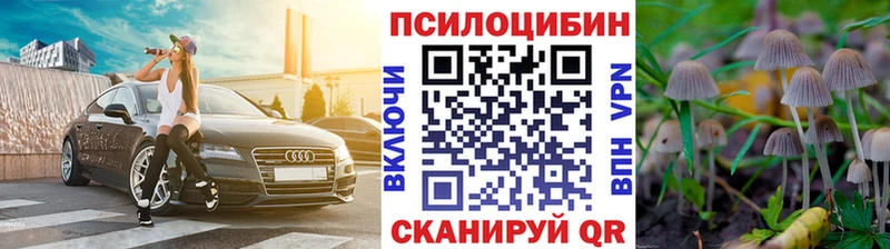 Псилоцибиновые грибы MAGIC MUSHROOMS  цены   Дегтярск 
